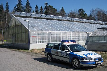 voitures de police
