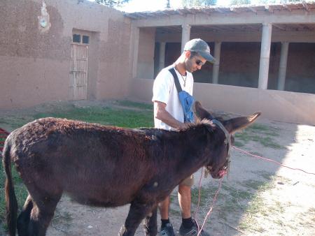 mon frair et snopi